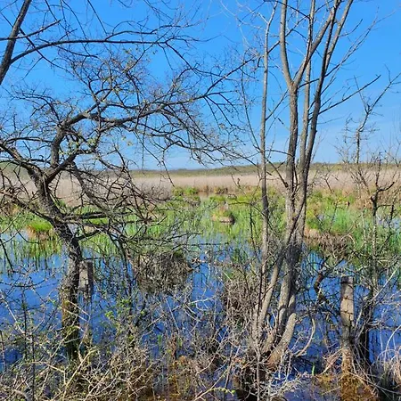 Lovrini Dvori * Brusici