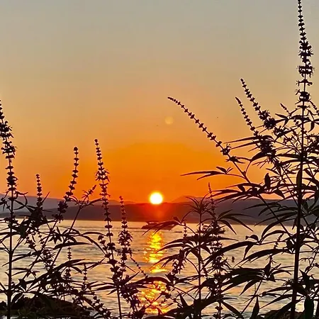 Lovrini Dvori דירה