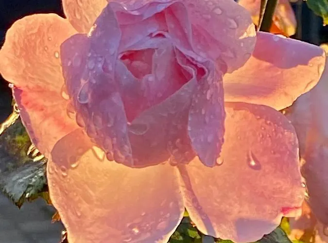 Lovrini Dvori Apartmán *