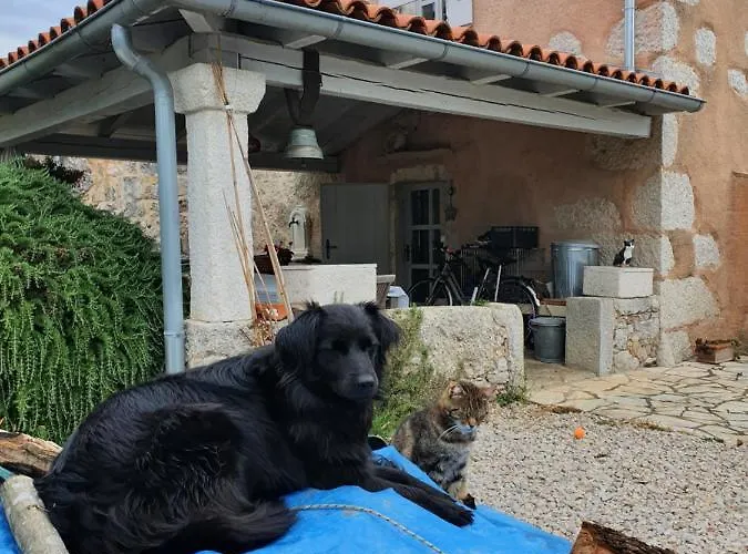 Lovrini Dvori * Brusici